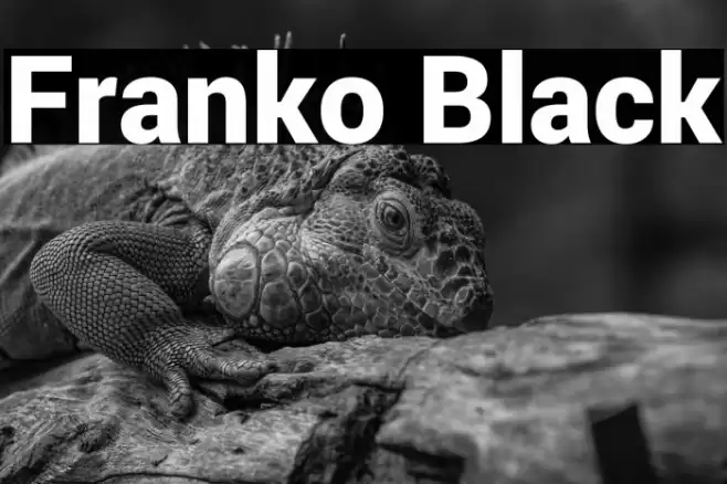 Franko Black Font examples
