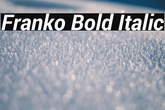 Franko Bold Italic Example 2
