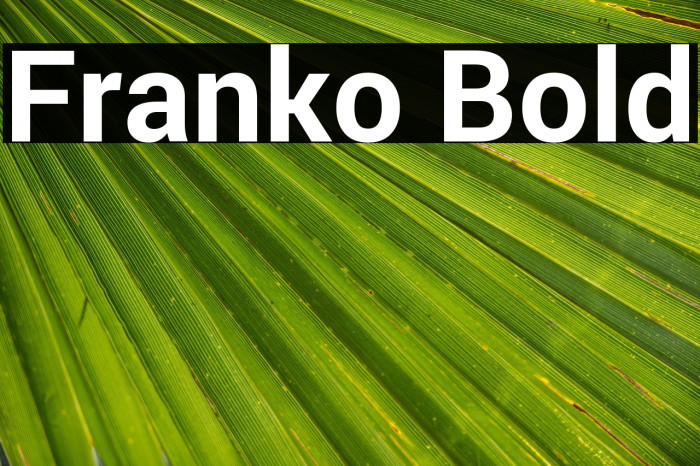 Franko Bold Example 1
