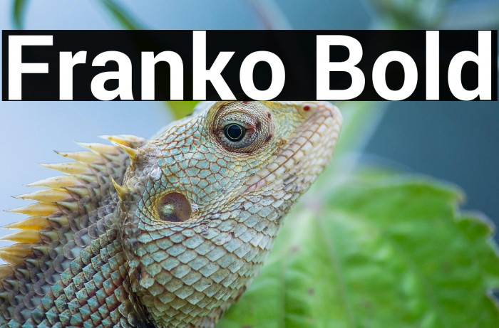 Franko Bold Example 2