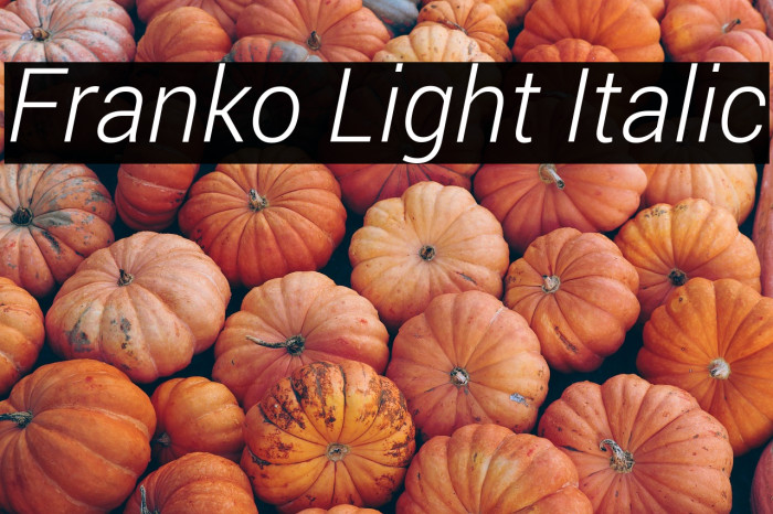 Franko Light Italic Example 1