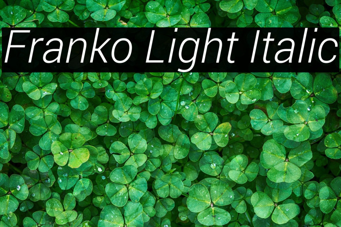 Franko Light Italic Example 2