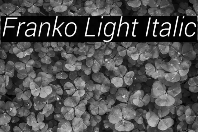 Franko Light Italic Font examples