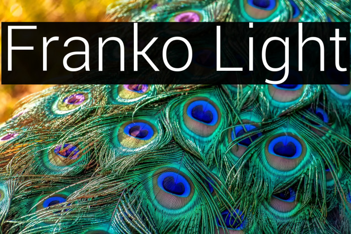Franko Light Example 2
