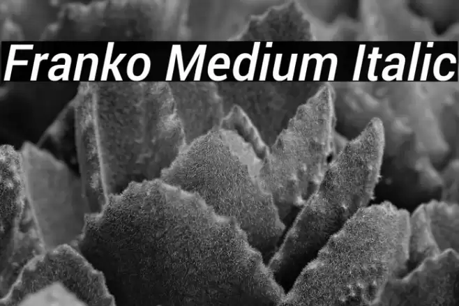 Franko Medium Italic Font examples