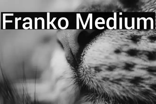 Franko Medium Font examples