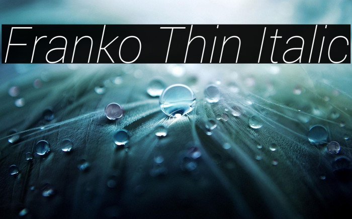 Franko Thin Italic Example 3