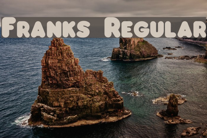 Franks Regular Font examples