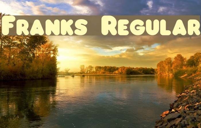 Franks Regular Font examples