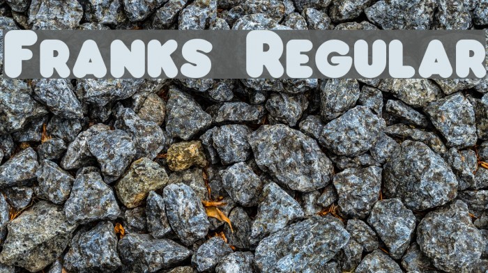 Franks Regular Font examples