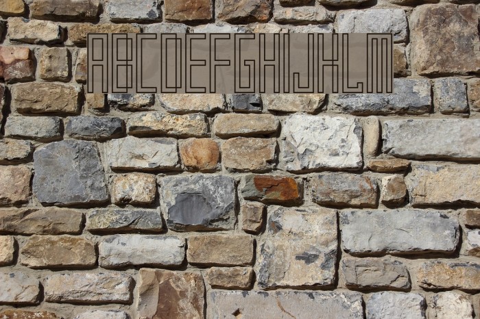 Frankstern Outline Example 1