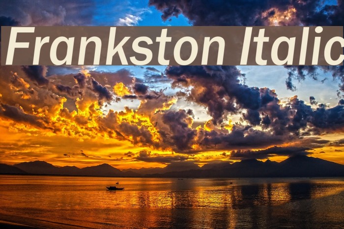 Frankston Italic Font examples