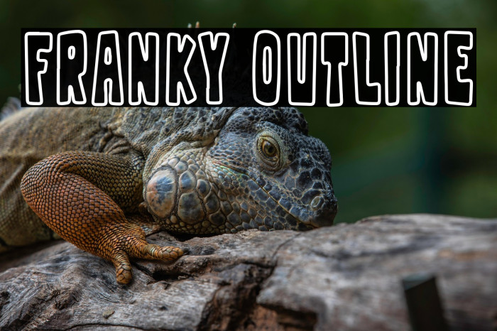 Franky Outline Example 1