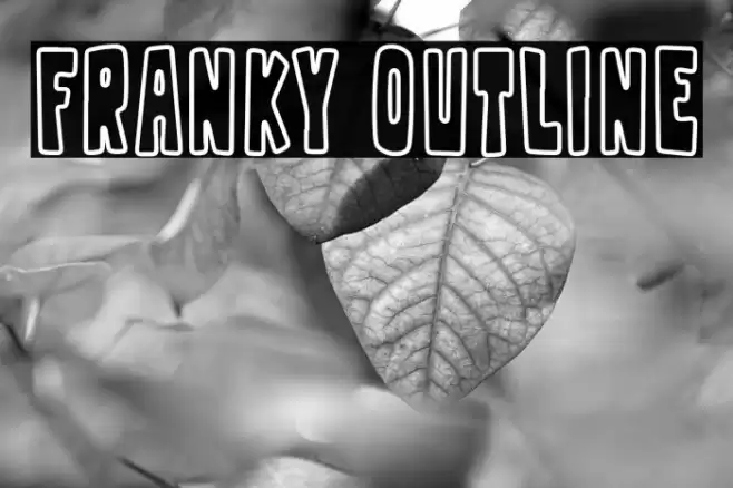 Franky Outline Font examples