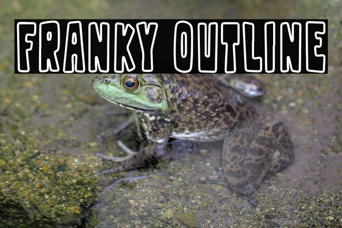 Franky Outline Example 3