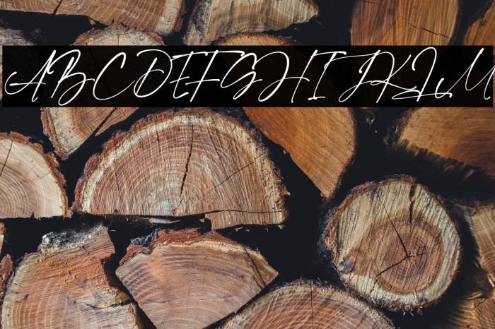 Franky Rain Example 1