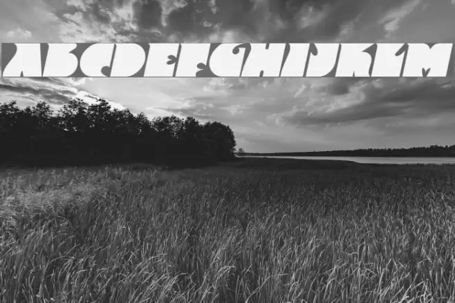 Frantic Italic Font examples