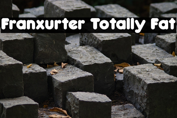 Franxurter Totally Fat Example 1