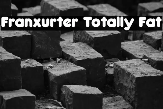 Franxurter Totally Fat Font examples