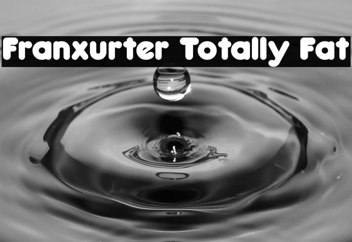 Franxurter Totally Fat Example 3