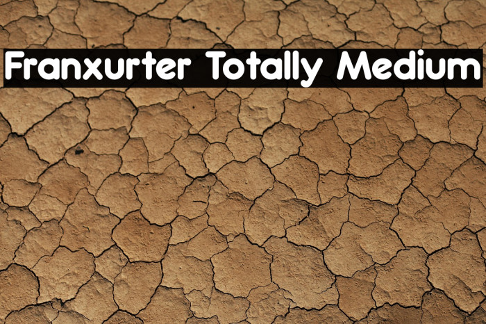 Franxurter Totally Medium Example 1