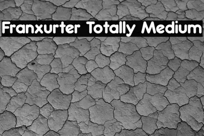 Franxurter Totally Medium Font examples