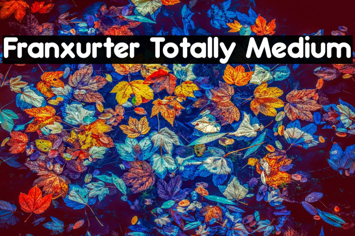 Franxurter Totally Medium Example 2