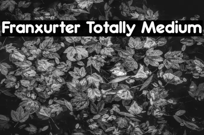 Franxurter Totally Medium Font examples