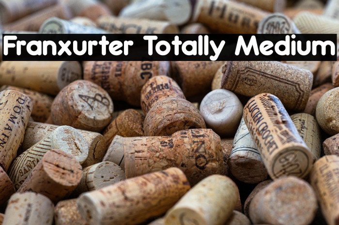 Franxurter Totally Medium Example 3