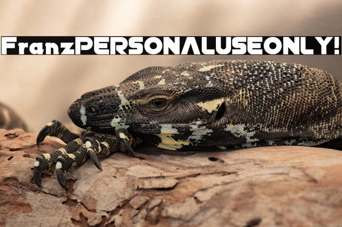 Franz PERSONAL USE ONLY! Example 2