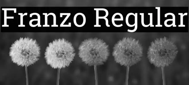 Franzo Regular Font examples