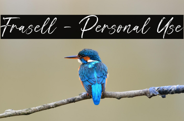 Frasell - Personal Use Example 3