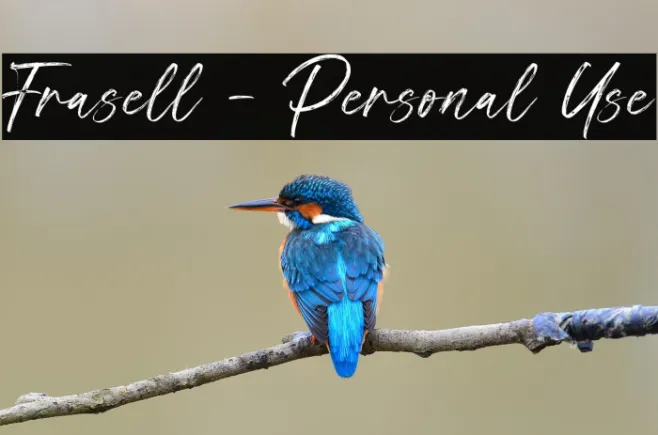 Frasell - Personal Use Example 3