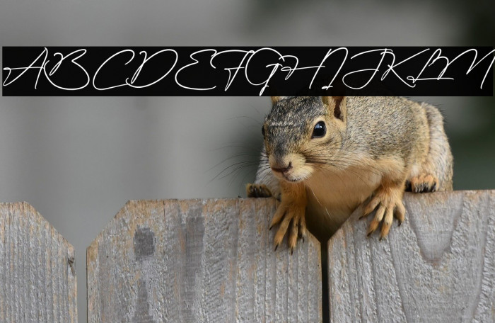 Frathaman Holland Example 1