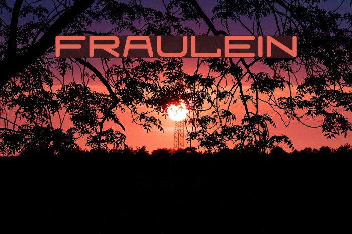 Fraulein Font examples