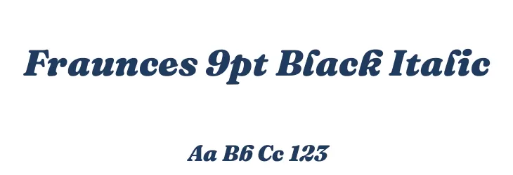 Fraunces 9pt Black Italic