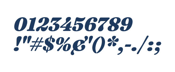 Fraunces 9pt Black Italic Other Characters