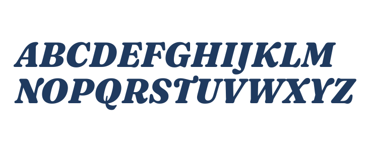 Fraunces 9pt Black Italic Uppercase