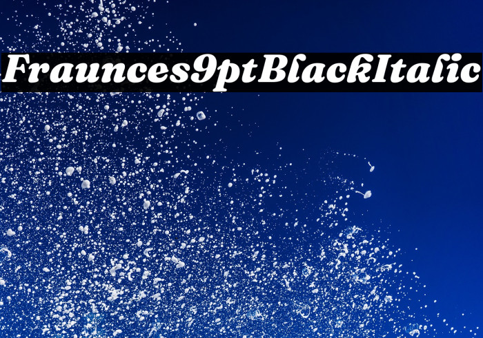 Fraunces 9pt Black Italic Example 1