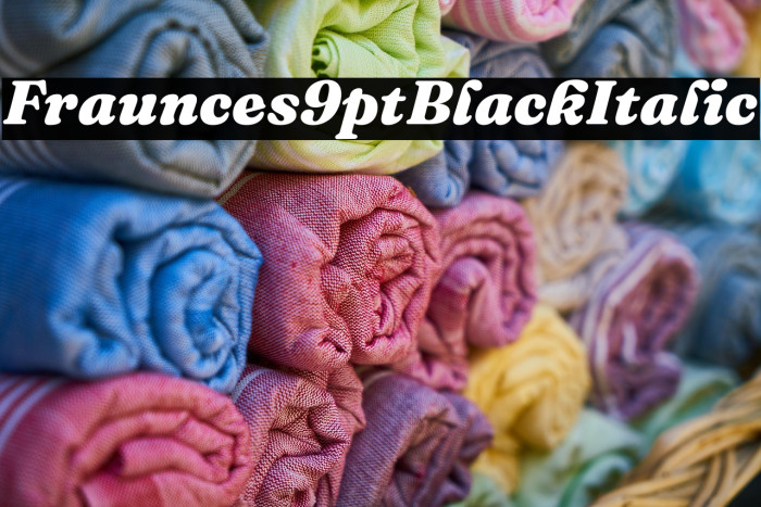 Fraunces 9pt Black Italic Example 2