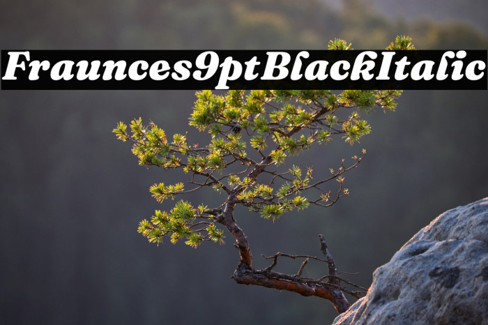 Fraunces 9pt Black Italic Example 3