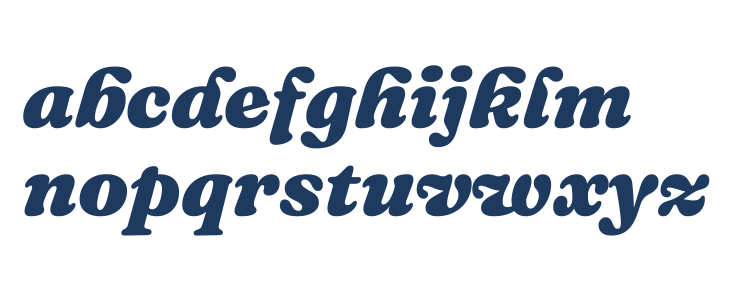 Fraunces 9pt Black Italic Lowercase