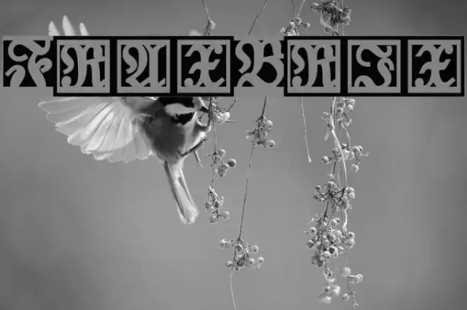 FraxBrix フォント examples