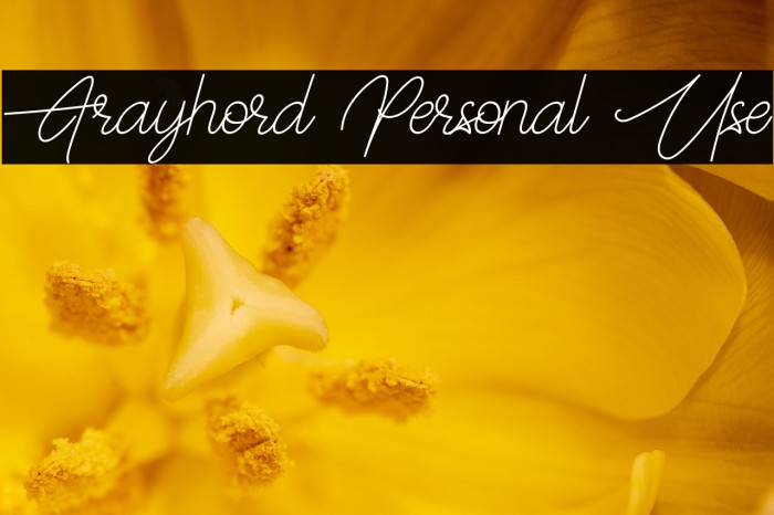 Frayhord Personal Use Example 3