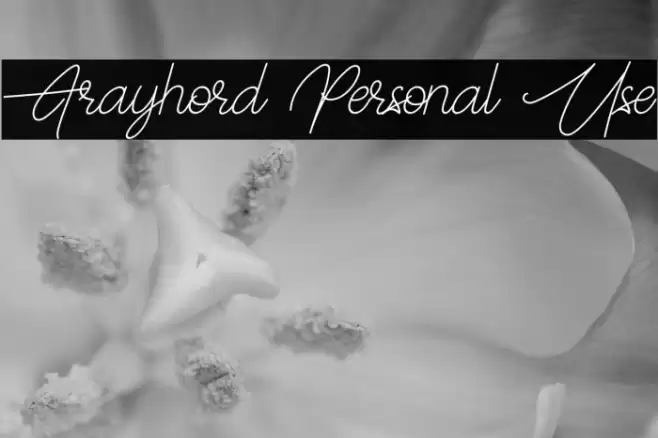 Frayhord Personal Use Font examples