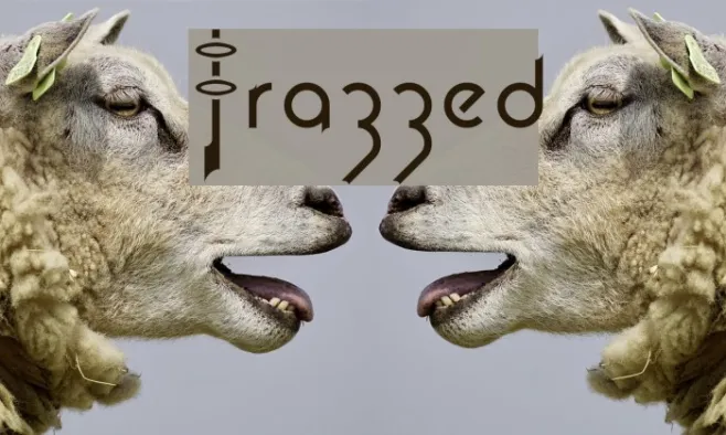 Frazzed Example 1