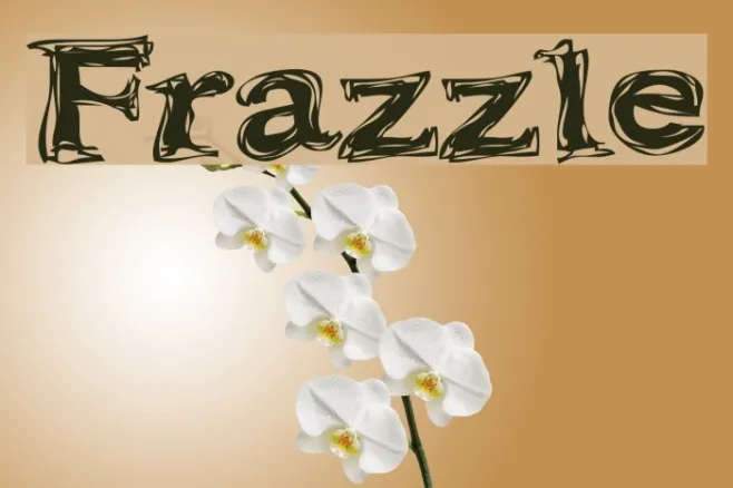 Frazzle Example 3
