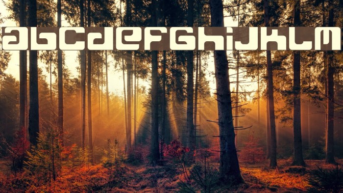 Freak Normal Font examples