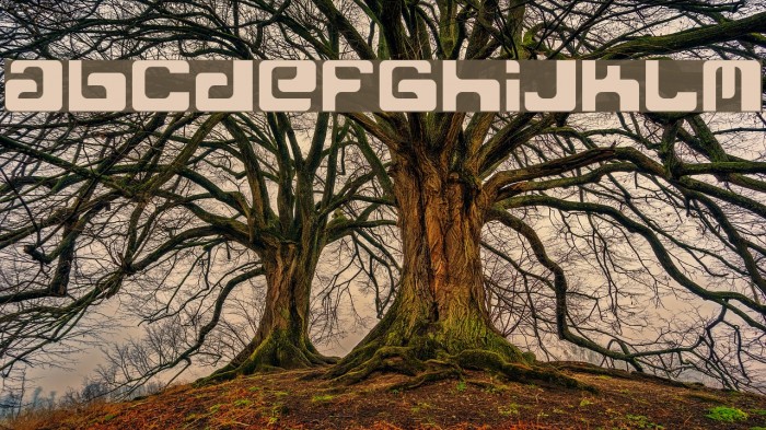 Freak Normal Font examples