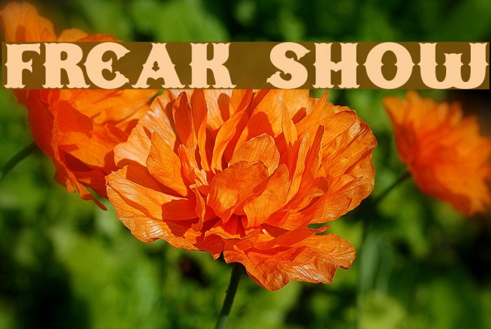 Freak Show Font examples